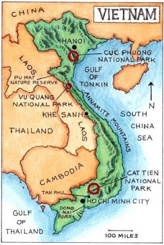 Asian jungle map