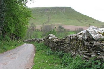 Lord herefords knob