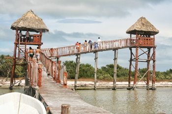 Bird watching tower