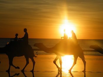 A camel rides gracefully along the beach in Broome, Australia.