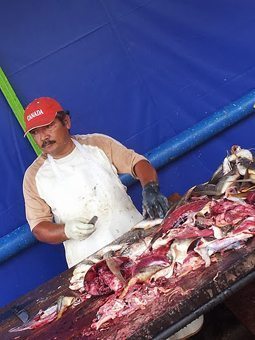 Fish monger in El Salvador.