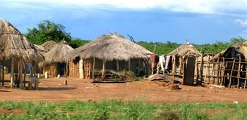 Typical homestead cluster, the thatched-roof structures are called bandas. 