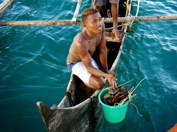 A fisherman catches lobsters for sale in Russian Bay.