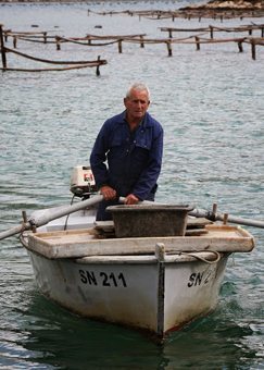 Luko Maskaric checks his oyster crop.