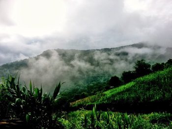 Morning in Northern Thailand's hill tribe region. photos by Kristina Kulyabina.