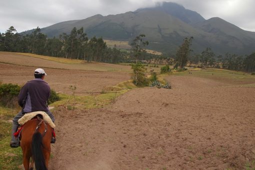 Horses are an important part of the culture in Ecuador.
