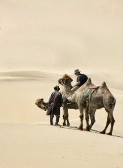 Gobi desert