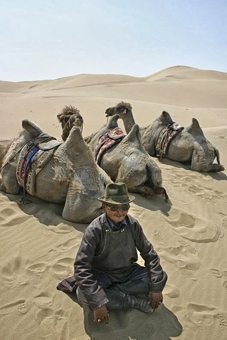 Mongolia camel master