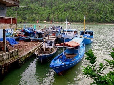 Boats in the Marina.