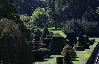 Wide-angle view of the Topiary Garden.