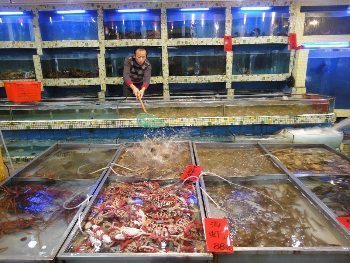 Seafood on Leyuan street