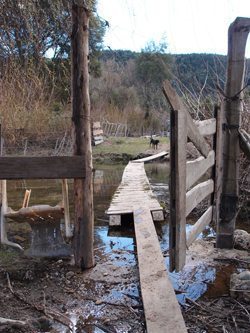 A river crossing at the farm in Argentina for the WWOOF session.