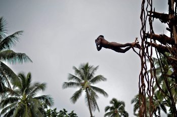 In Vanuatu, a local tradition is to jump from trees with vines attached to ankles. Thomas Perry photos.