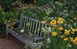 An inviting seat at the Botanical gardens.