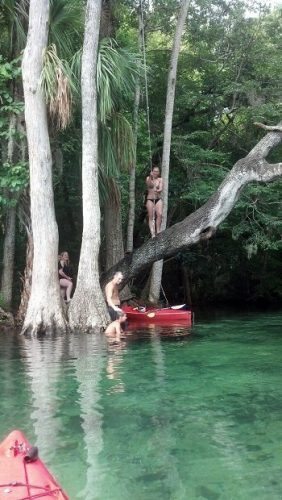 Jump off the rope swing by the Chassowitska Campground.