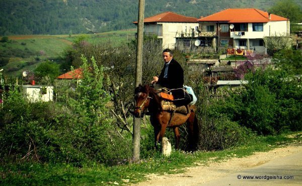 Horseback by the road,