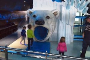 the kids polar bear play area