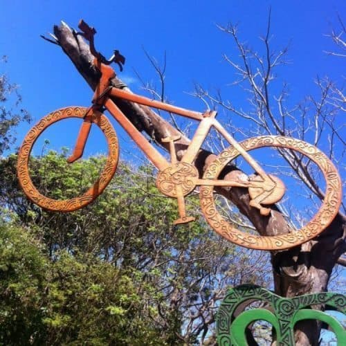 Bicycle in a tree on Rapa Nui.