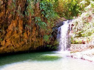 Annandale Falls, a beautiful spot in Grenada. Jean M. Spoljaric photos.