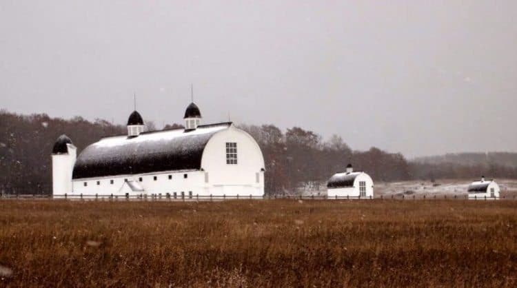 Outside of Traverse City heading toward the Sleeping Bear Dunes National Seashore, these two barns lie quietly in the snow. 