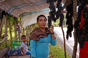 Aceh grapes.
