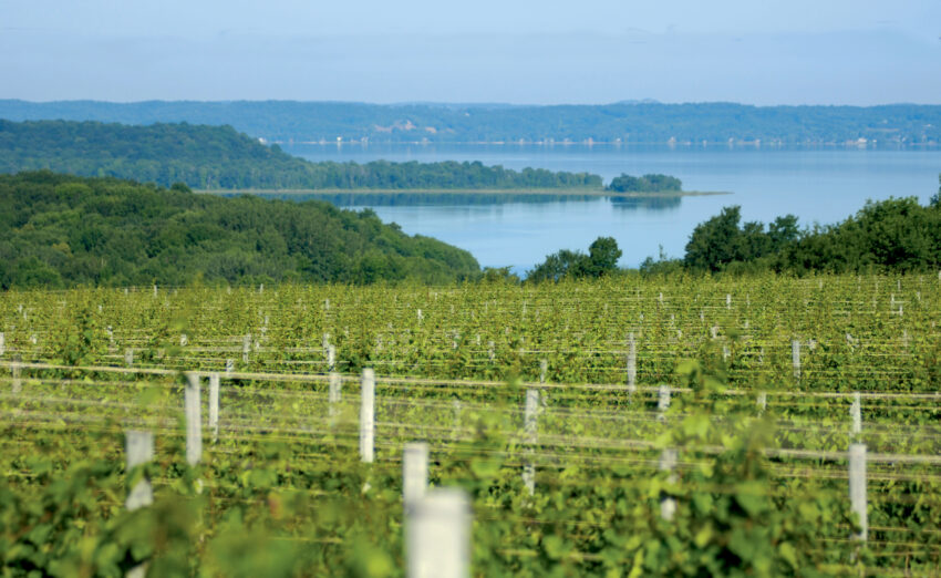 More than 40 vineyards dot the coast of Lake Michigan in and around Traverse City. 