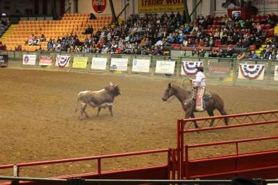 The rodeo! Stephanie DiCarlo photos.