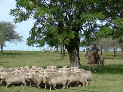 La Paz sheep ranch.