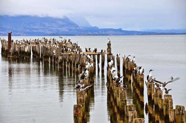 Dock in Puerto Natales.