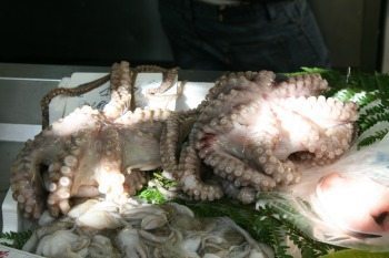 Octopus, or Polpi, is very popular in Italy.