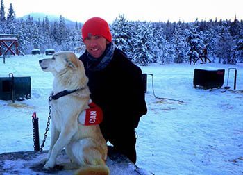 A Yukon mushing dog.