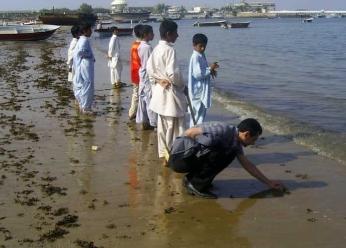 Finding shells along the shore of the Gulf of Oman.