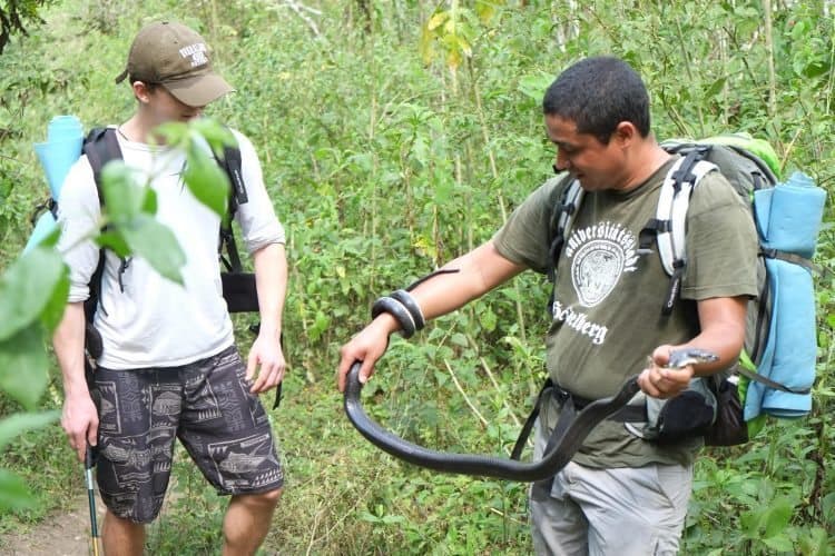Handing a poisonous snake in the jungle of Panama. Ray Smith photos.