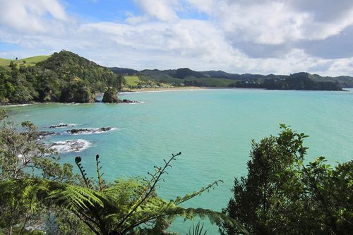 Whale Bay, New Zealand.