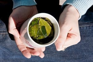 Coca leaf tea Peru.