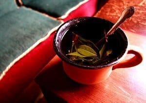 Coca leaf tea Peru.