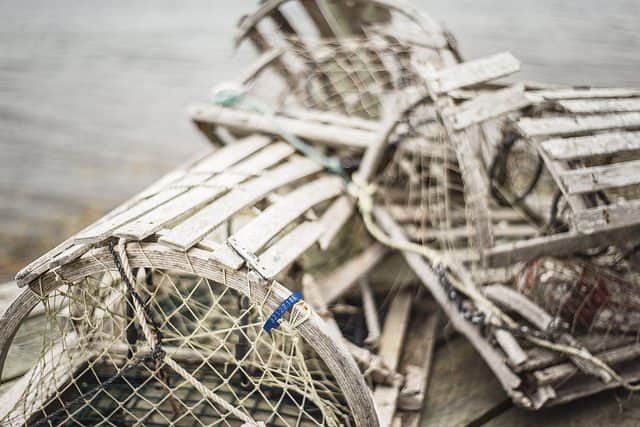 Lobster traps, at Murphy's Camping on the Ocean. 