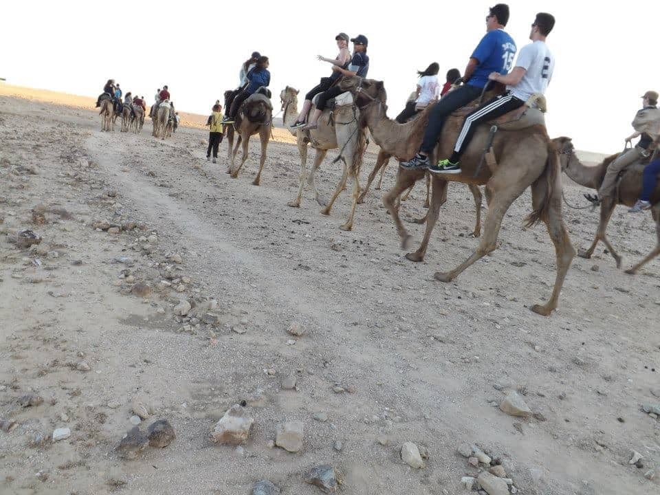 Camel Riding in the desert in Israel. Danielle Aihini photos.