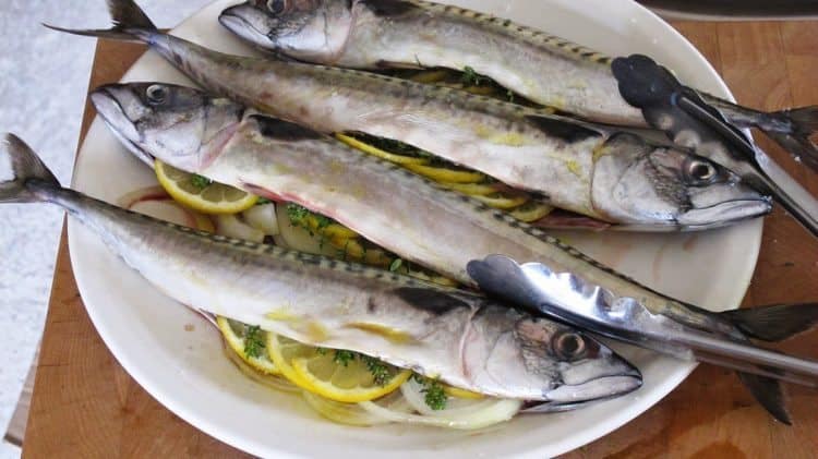 Local mackerel ready to grill...perfect!