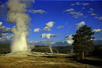 yellowstone