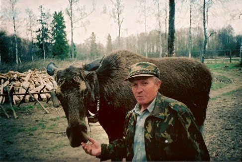 A moose and a man.
