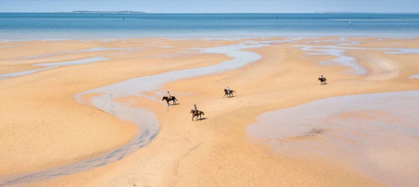 Mozambique Horse Safaris