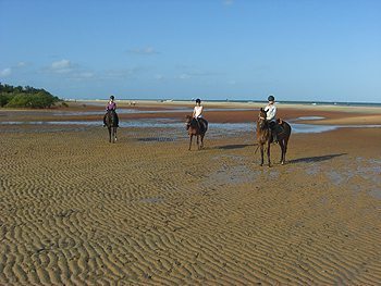 About to canter on the beach in Mozambique. Read about volunteering and riding in this African country!