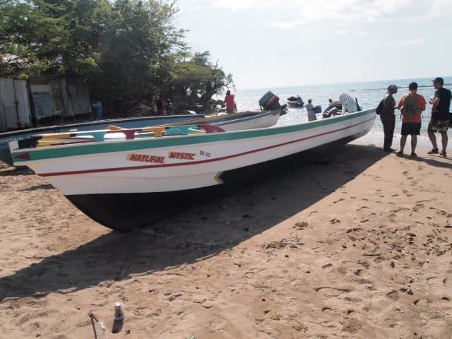 Fishing boats on the South Coast.