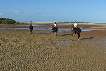 mozambique volunteering