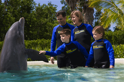 Meet dolphins at the Seaquarium.
