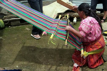weaving quetzals