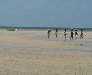 Women with their heads full on the beach in Mozambique.