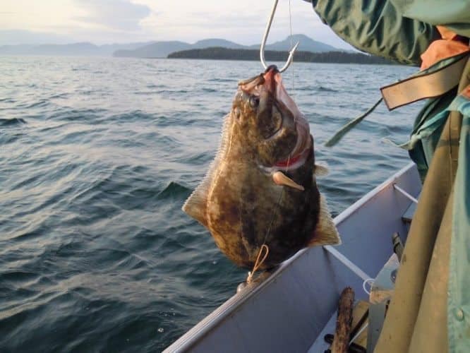 Alaska: Do It Yourself Saltwater Fishing