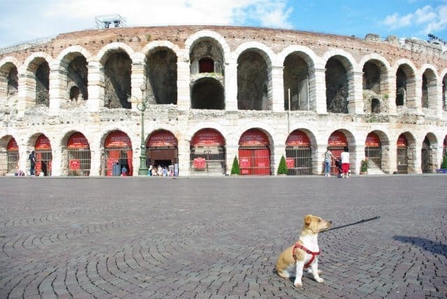 Falco standing in front of Italy's largest amphitheatre. 